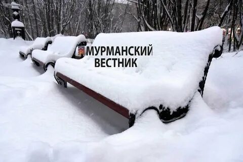Рано мурманск