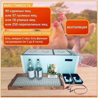 Матрица вегас