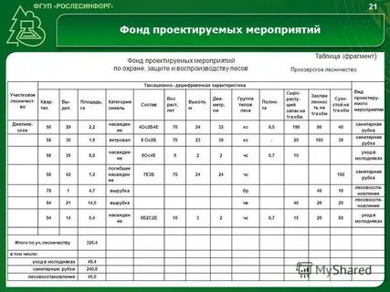 Таксационное описание