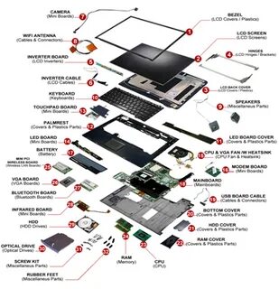 parts in laptop - smoldom.ru 