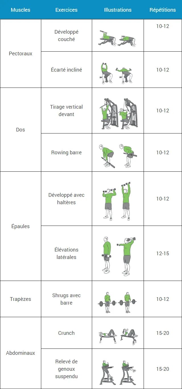 Programme de. Program musculation.