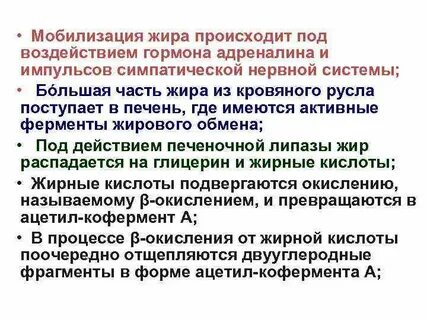 Мобилизация жиров
