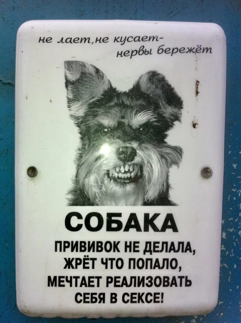 Не кусается не бросается