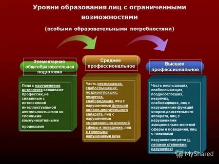 Уровни обучения и их особенности