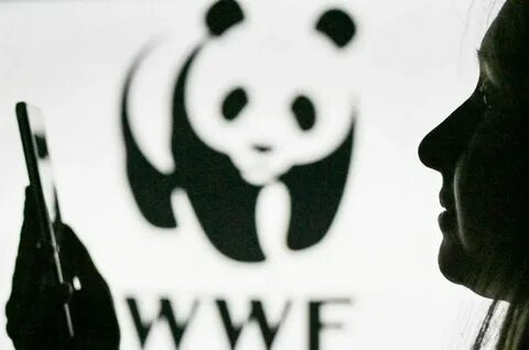Wwf экологическая организация