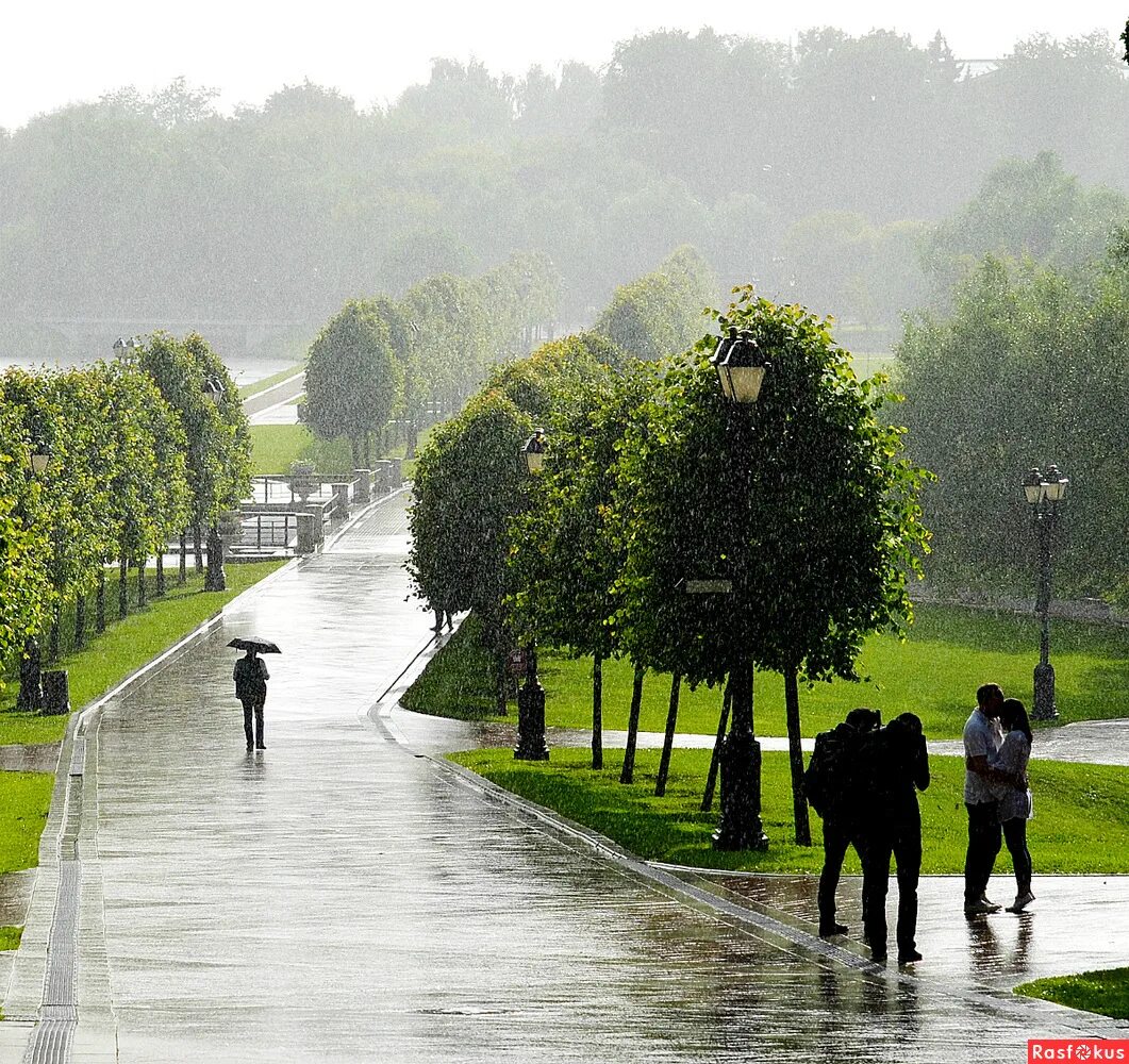 Парк пасмурно. «Дождь в парке» (1996), Либеров. Дождливый парк. Парк дождь. Парк после дождя.