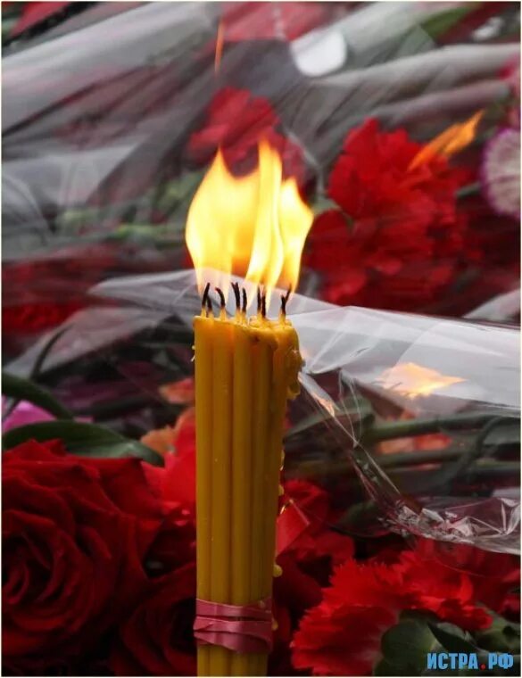 Свечки на войну. Памятная свеча. 22 июня 1941 года свеча памяти. Свеча памяти вов. Свеча и гвоздики.