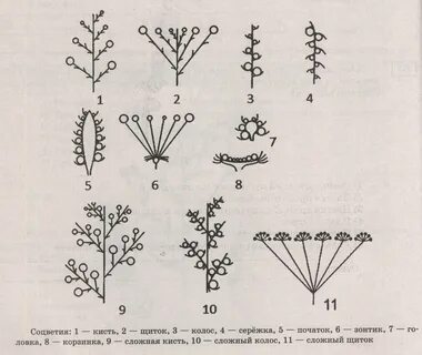 Изображения соцветия
