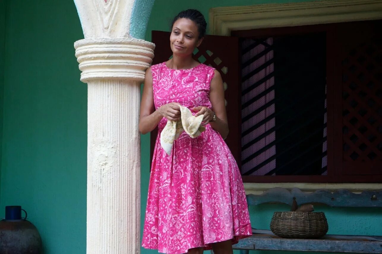 половина желтого солнца 2013. тэнди ньютон жёлтое солнце. мелани тэндиве ньютон. чимаманда нгози адичи половина желтого солнца. половина желтого солнца 2013.