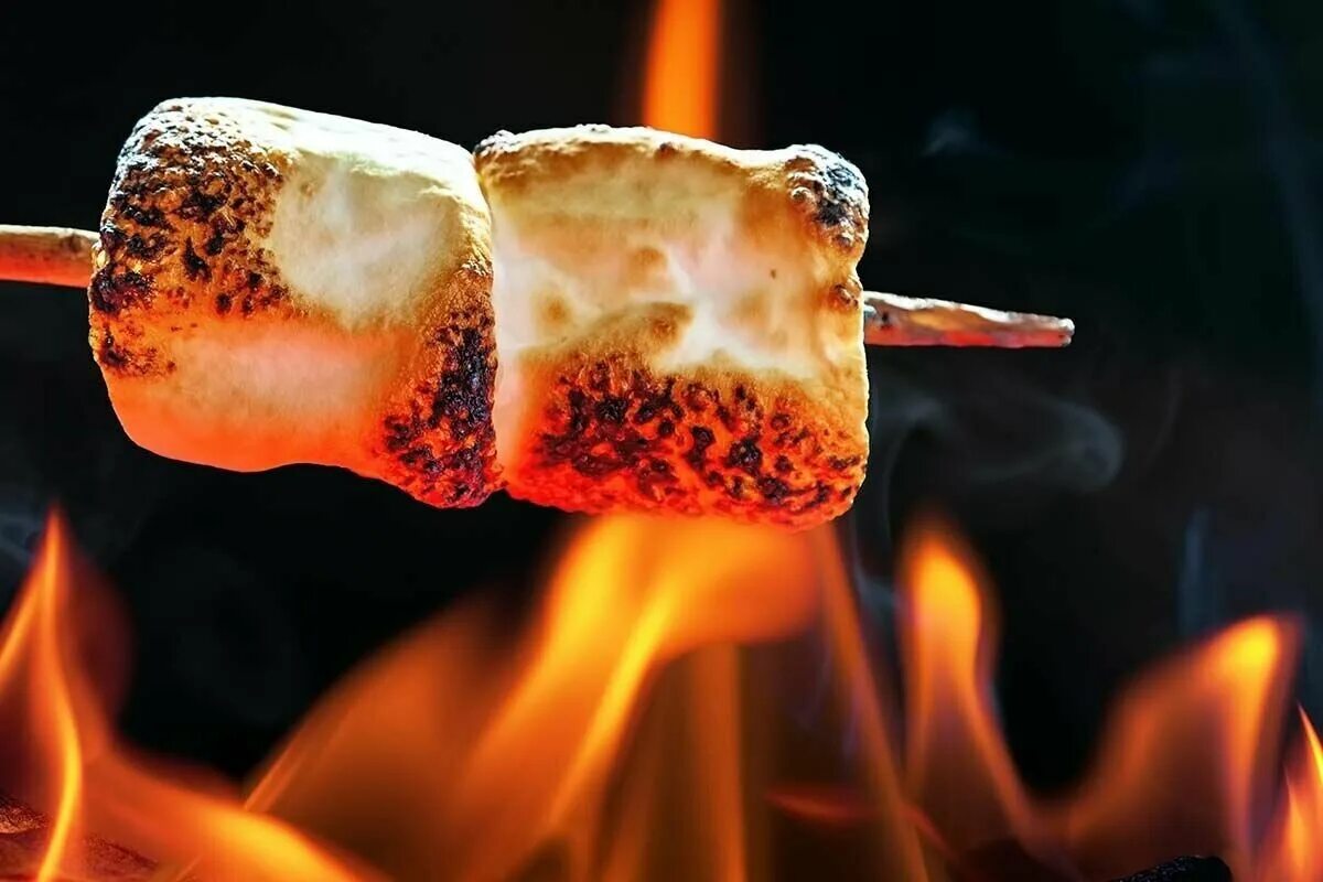 Как жарить маршмеллоу. Зефир маршмеллоу на костре. зефир на огне маршмеллоу. жареный маршмеллоу на костре. зефир маршмеллоу для жарки на костре.