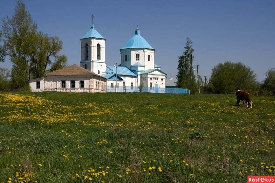 шаталовка старооскольский район. село городище старооскольского района белгородской области. погода городище старооскольский белгородской. храм в городище белгородская область. шаталовка белгородская область старооскольский.