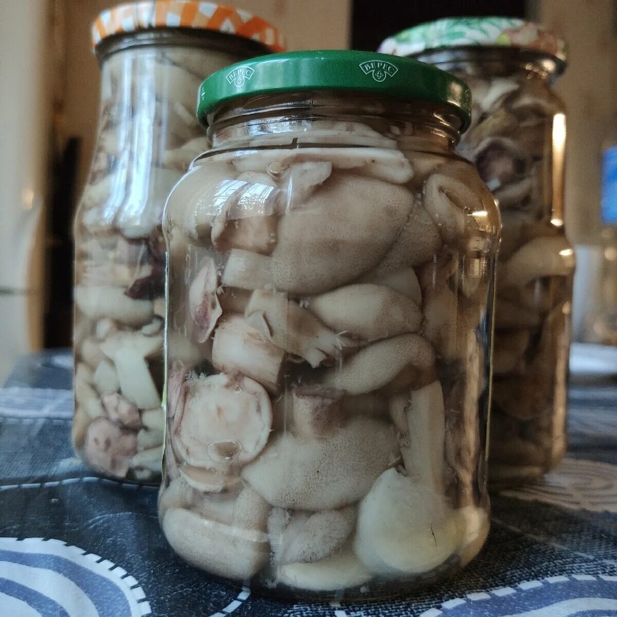 Маслята на зиму. Маслята на зиму