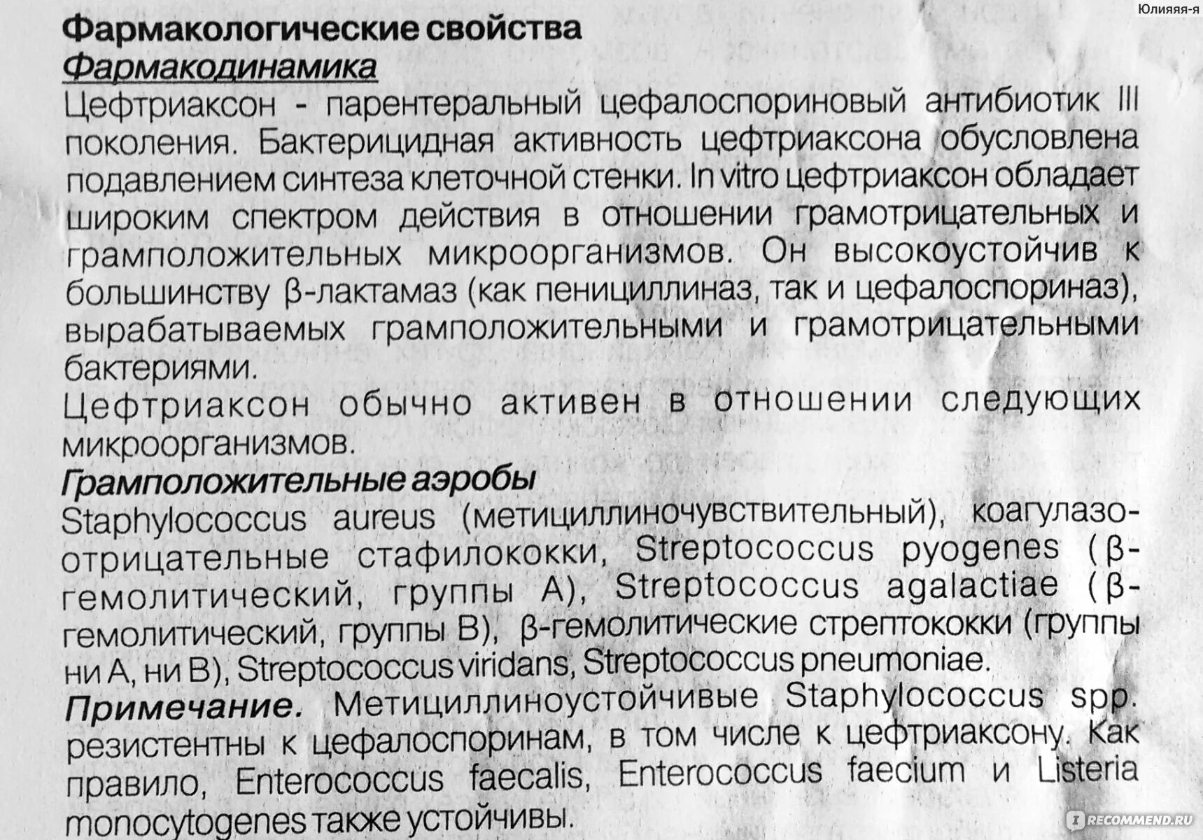 Антибиотик для внутримышечного введения цефтриаксона. Цефтриаксон нежелательные эффекты. Цефтриаксон характеристика препарата. Чем разводят цефтриаксон внутримышечно. Цефтриаксон уколы можно пить