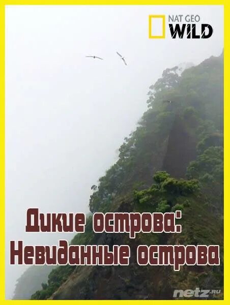 Остров тортуга коста рика. Необитаемые острова карибского моря. Тортуга гаити. Дикий остров книга. Про дикие острова.