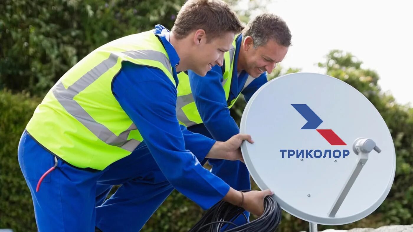 Мастера настройщики. Щит монтажника. День настройщика пианино и фортепиано. Мастер по ремонту компьютеров. Мастера настройщики.