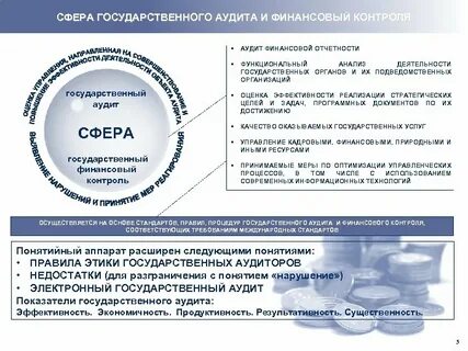 Аудит государственного проекта