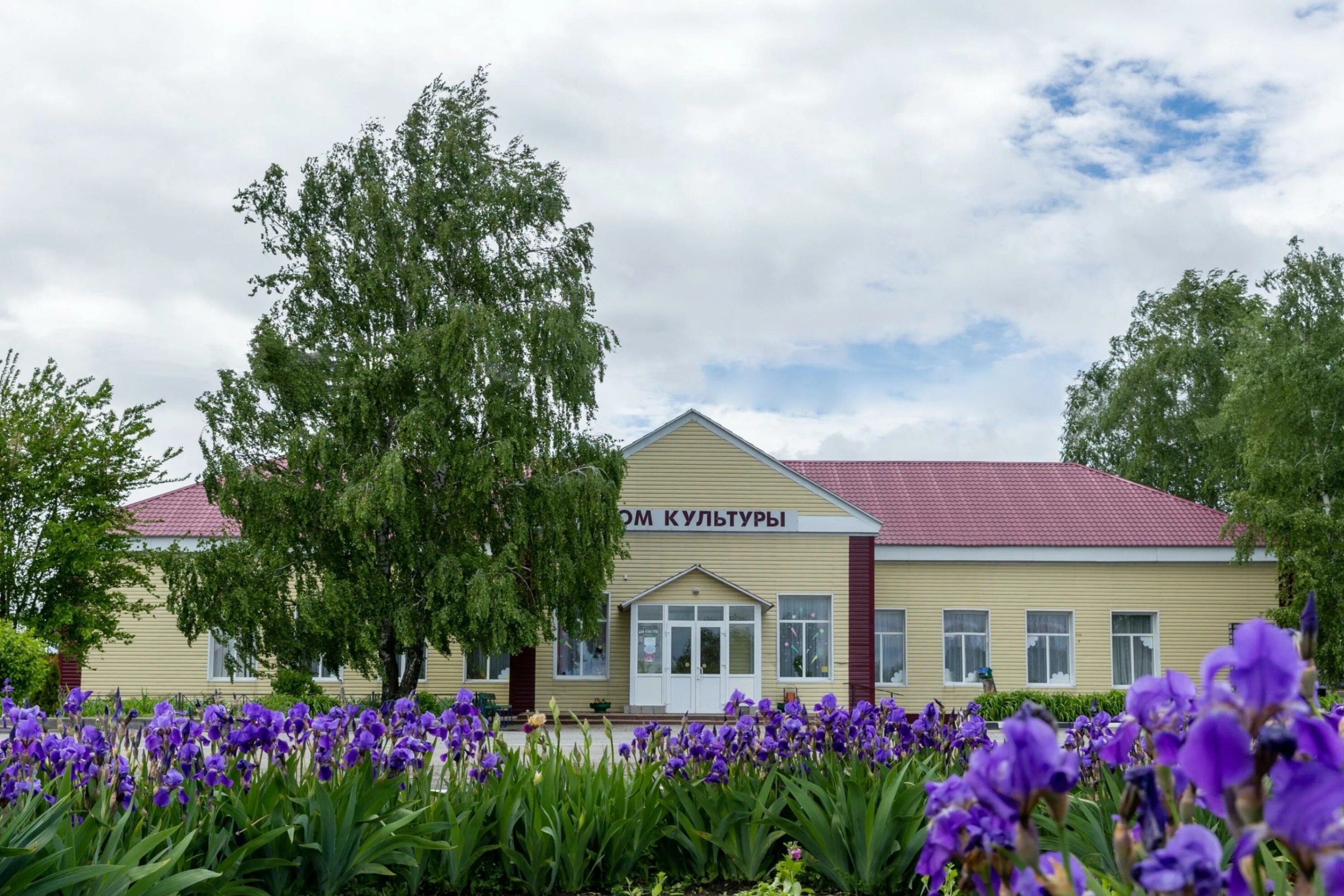 Красные выселки. Кузькинский сельский дом культуры Чернянский район. Село верхнее Кузькино. Село верхнее Кузькино Чернянского района. Село верхнее Кузькино Чернянского района Белгородской области.