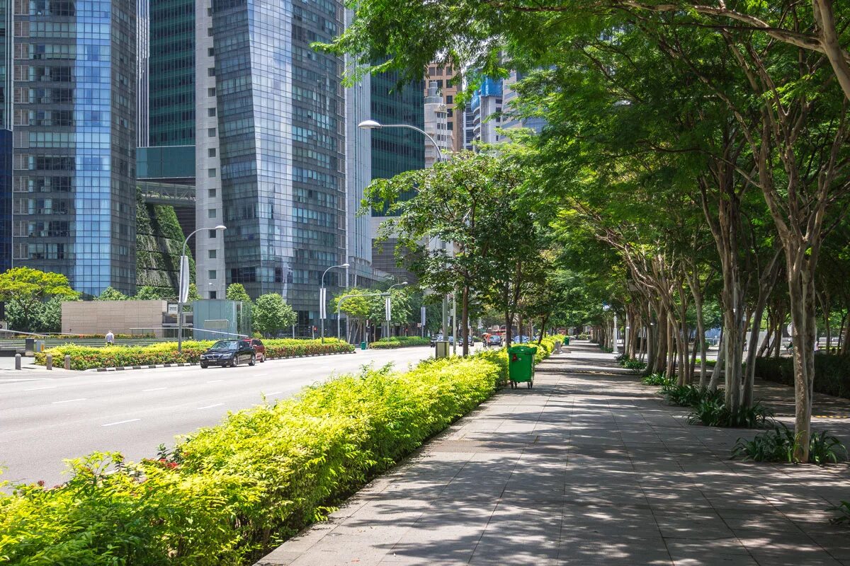 Nature in the city is. Ванкувер зеленый город. Green City Минск. Современный город. Улица зелень.