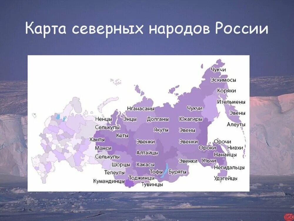 Ненцы районы проживания. Карта коренных народов севера. Народы крайнего севера России на карте. Народы севера России карта. Северные народы России на карте.