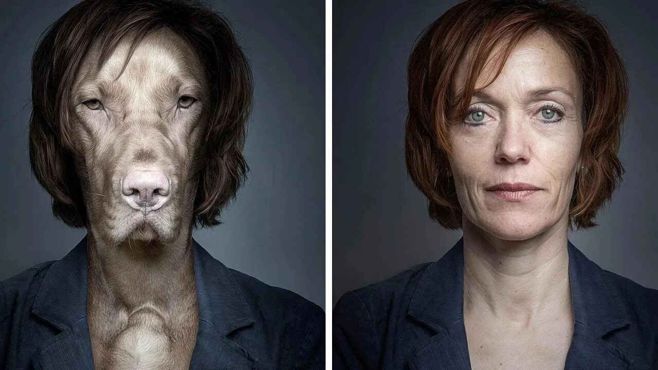 собака дог и женщина. красивая девушка с собачкой. девушка с щенком. веселая фотосессия с собакой. девушки которые стали собаками.