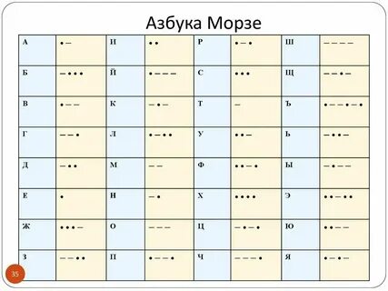 Хомяк морзе 10 07