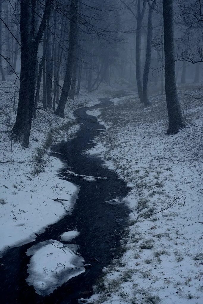 Мрачный снег. Мрачный пейзаж. Мрачный зимний пейзаж. Мрачный зимний лес. Страшный зимний лес.