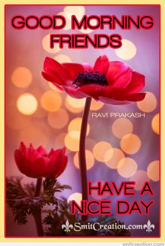 Dear friend good day. Have a good Day. Have a good Day картинки. Открытки good morning have a good Day. Good morning have a nice Day.