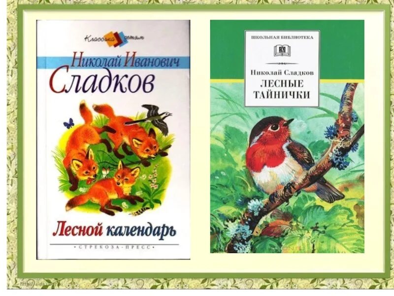 Сладков лесные тайнички читательский дневник. Сладков лесные тайнички читательский дневник. Сладков "лесные тайнички". Лесные тайнички рисунок. Сладков лесные тайнички читательский дневник.