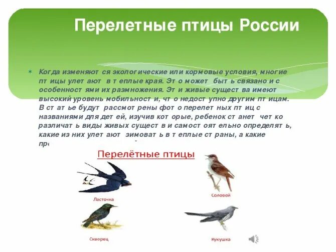 Проект перелетные птицы 2 класс окружающий мир Дефектолог-и-Я : Тема: Перелётные птицы
