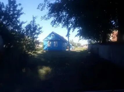 Старая русса дубовицы