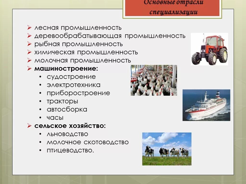 Отрасли хозяйственной специализации россии. Северо-Западный экономический район специализация района. Лесная промышленность Северо Западного экономического района. Специализация промышленности Северо Западного района. Хозяйство отрасли специализации Северо Западного района.