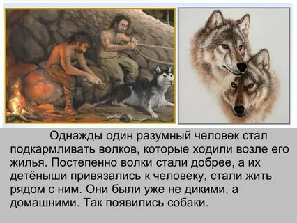 Как звали 1 хозяина волка