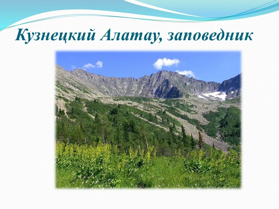 Где находится кузнецкий заповедник. Кузнецкий алатау заповедник. заповедники россии кузнецкий алатау. кузнецкий алатау заповедник междуреченск. кузнецкий алатау буклет.