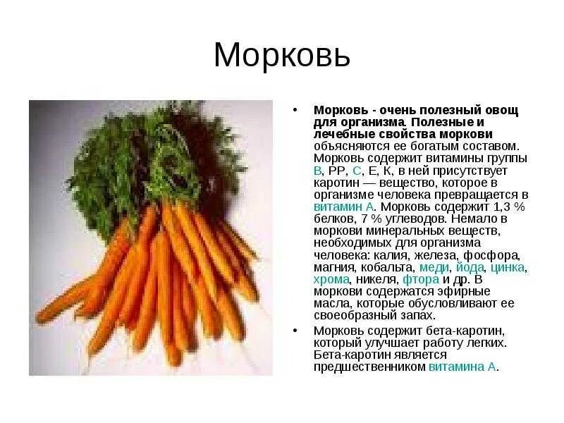 Морковь 2 класс. Сообщение про морковь. доклад про морковь. морковь полезный овощ. полезные свойства моркови.