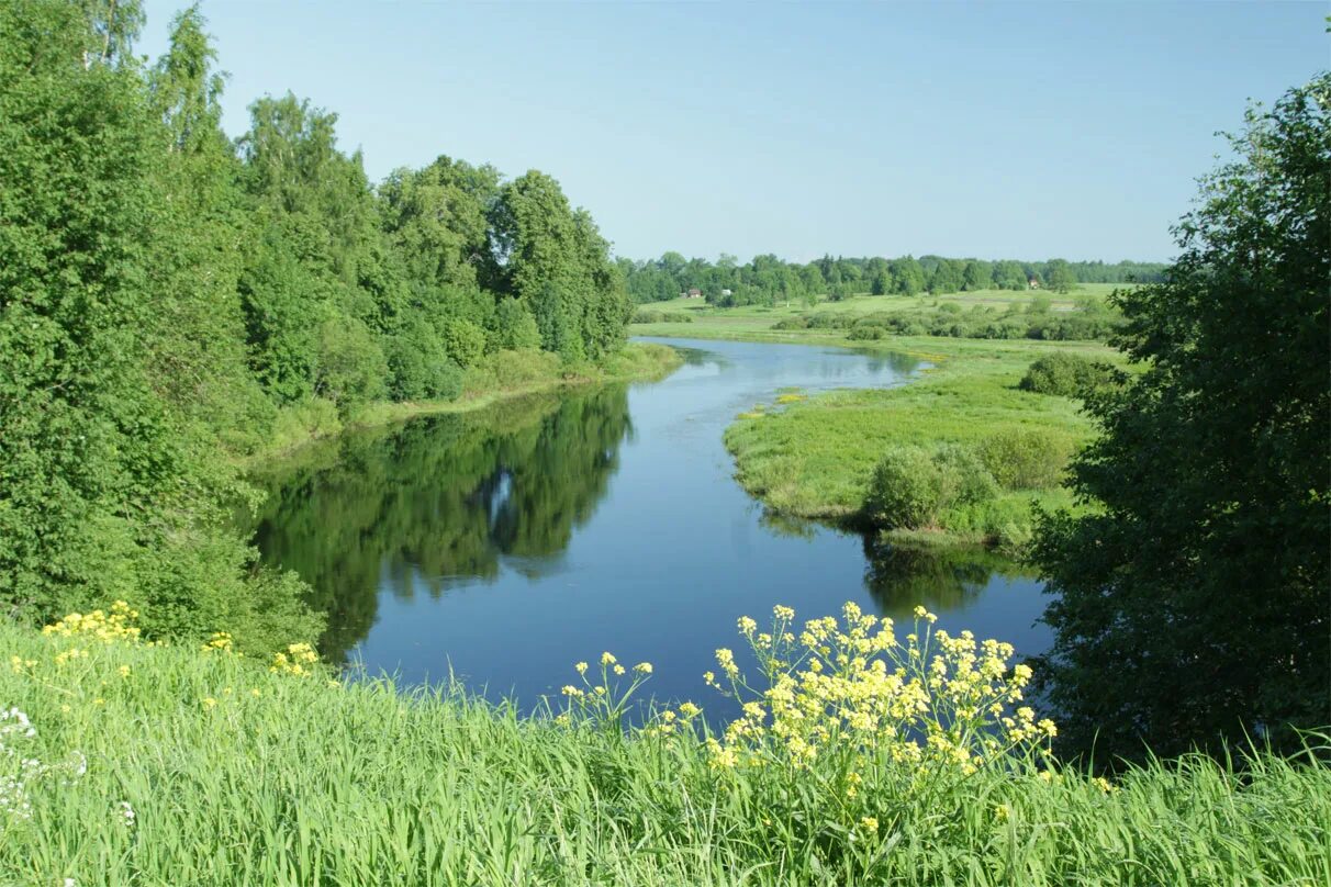 Поля новгородская область. Исток реки Луга. Река Угра д.Луги. Река поля а Мещере. Поселок Луговая река.