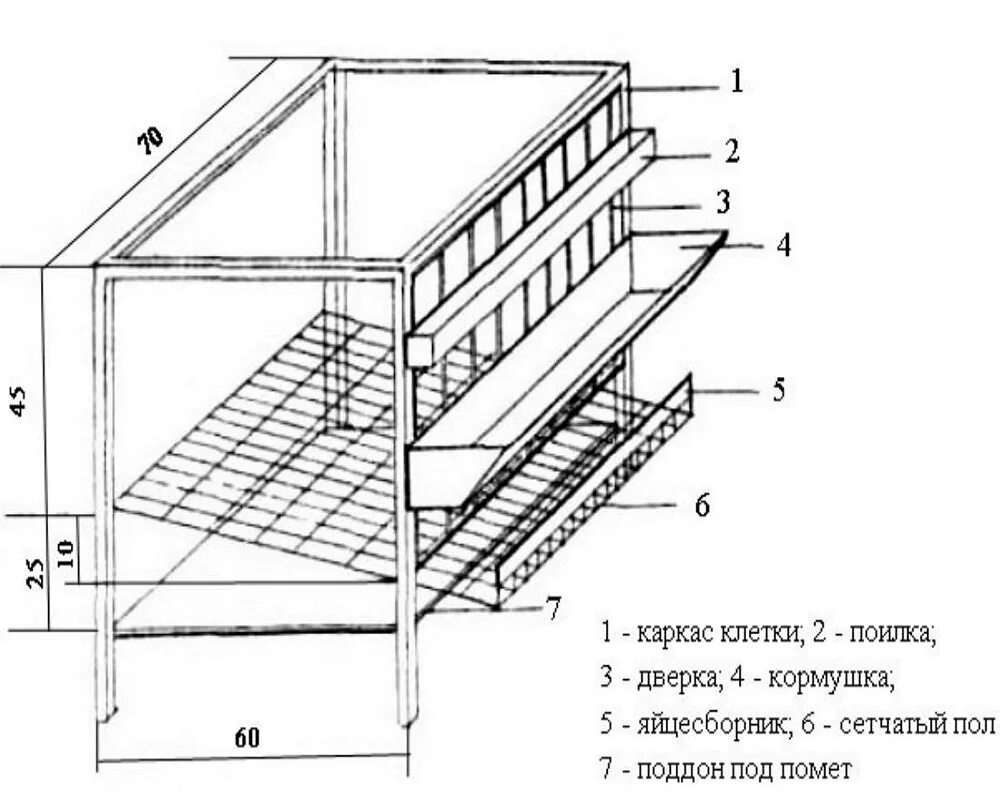 Чертежи яйцесборника для кур несушек своими руками. Клетка для перепелов Размеры чертеж. Клетка для перепелов чертеж. Чертёж клетки для перепелов с размерами своими. Чертеж клетка Брудер для перепелов.