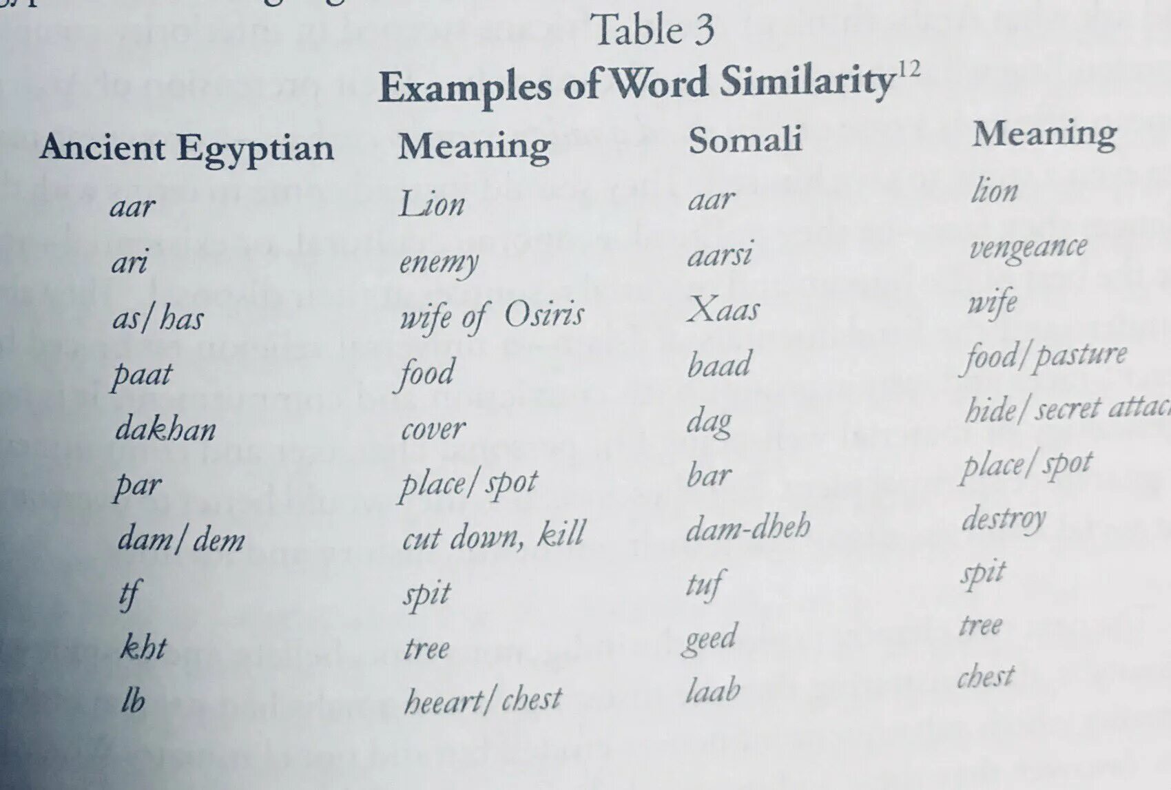 Words similarity. Similar Words. Ancient Somalian language. Similar Word wrong.