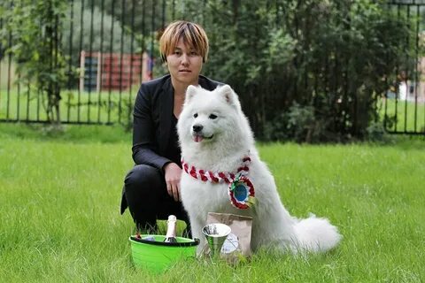 Питомник животных