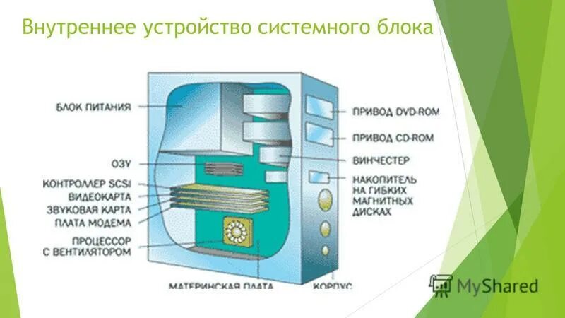 Внутреннее устройство организации