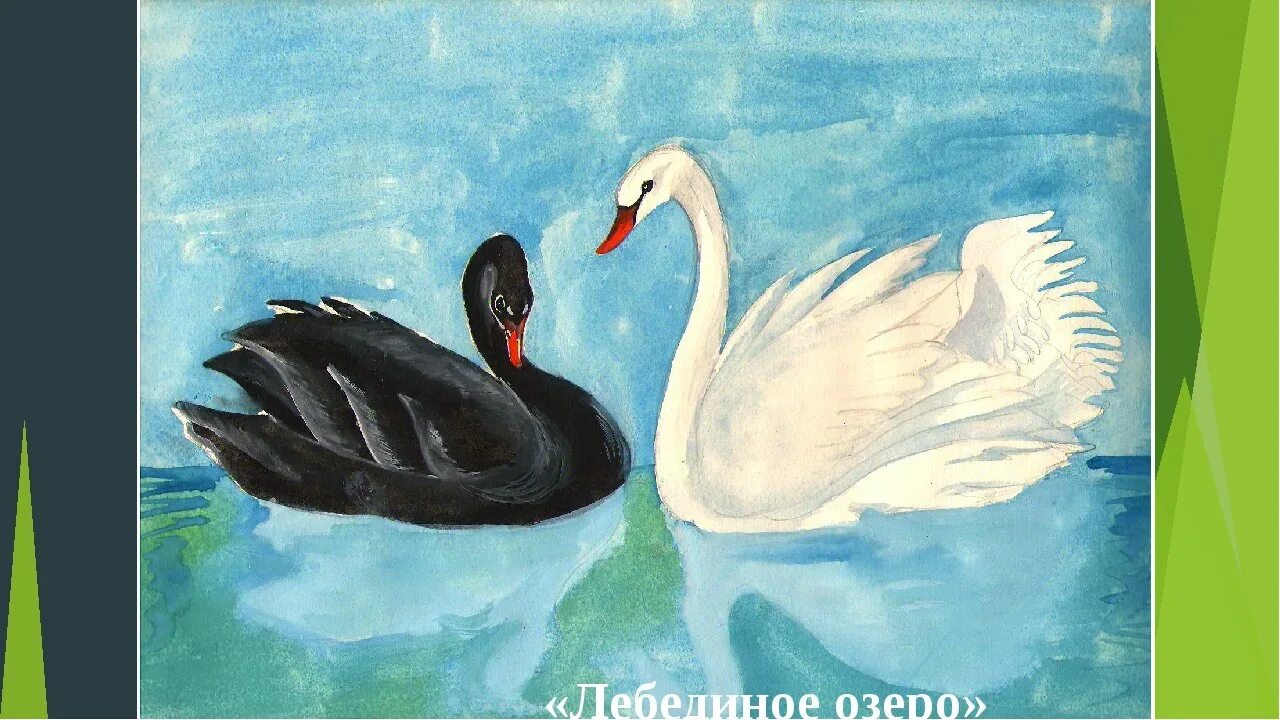 рисование лебедя черный. лебедь рисунок для детей. рисунок к балету чайковского лебединое озеро. лебедь рисунок. красивые лебеди.