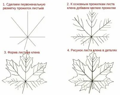 Кленовый листок вопросительное предложение