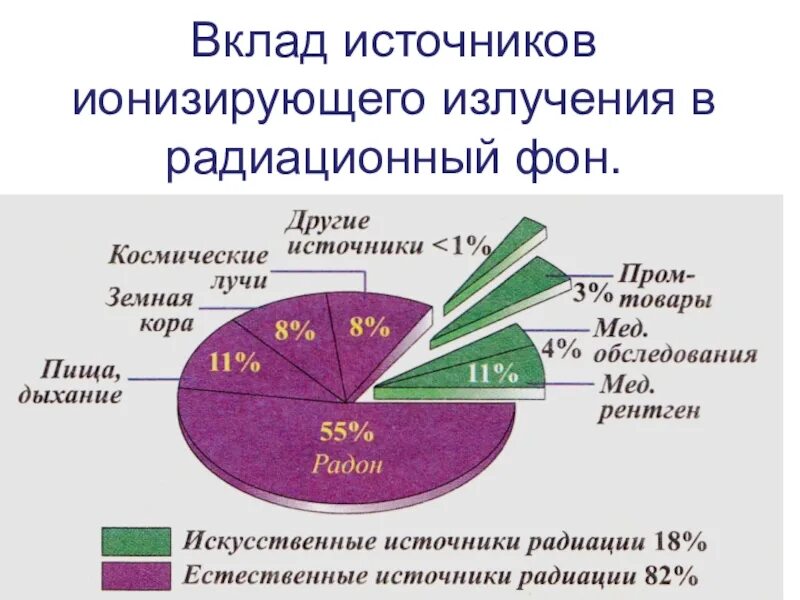 Вклад источников ионизирующего излучения в радиационный фон. Биологическое действие радиоактивных излучений. Биологические эффекты радиации. Биологическое действие радиации.