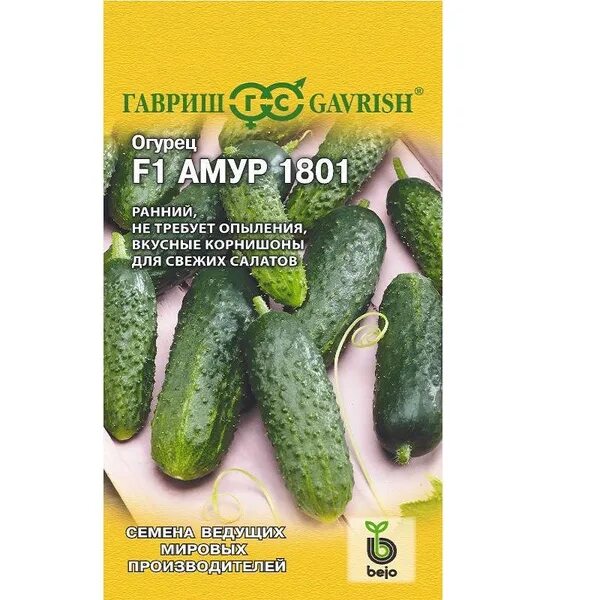 Описание огурцов амур - найдено 89 картинок