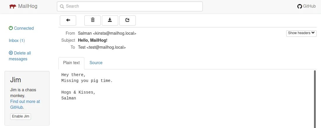 "send a test email". Money test электронный. Mailhog. Проверка эмейл телефона. Email тест.