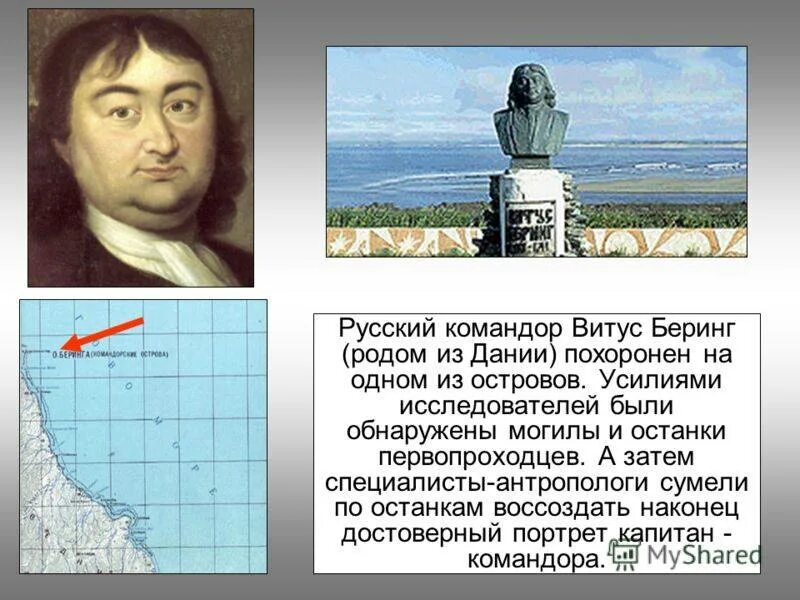 Мастер беринг. Витус беринг настоящий портрет. мать витуса беринга. витус беринг достижения. витус беринг гравюра.