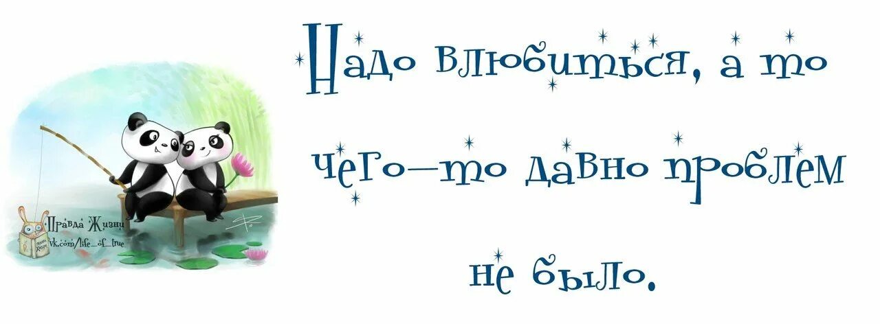 Дано было то давно. Надо влюбиться. Давно проблем не было влюбиться что. Давно не было проблем надо влюбиться. Надо влюбиться/ а то что то давно проблем не было.