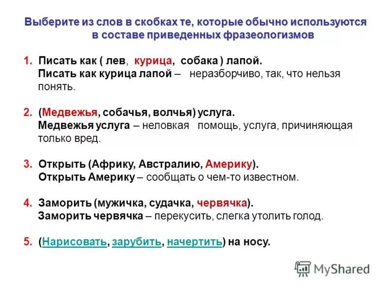 физиономия предложение