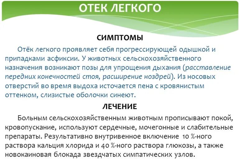 Признаки отека легких. Как понять что отек легких. Отек легких симптомы. Отек легких проявления. Отек легкого как причина смерти пермь