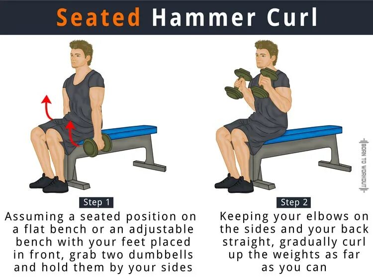 How to curl. Seated Hammer Curl. Hummer Curl. Incline Hammer Curls. Seated Dumbbell Curl.