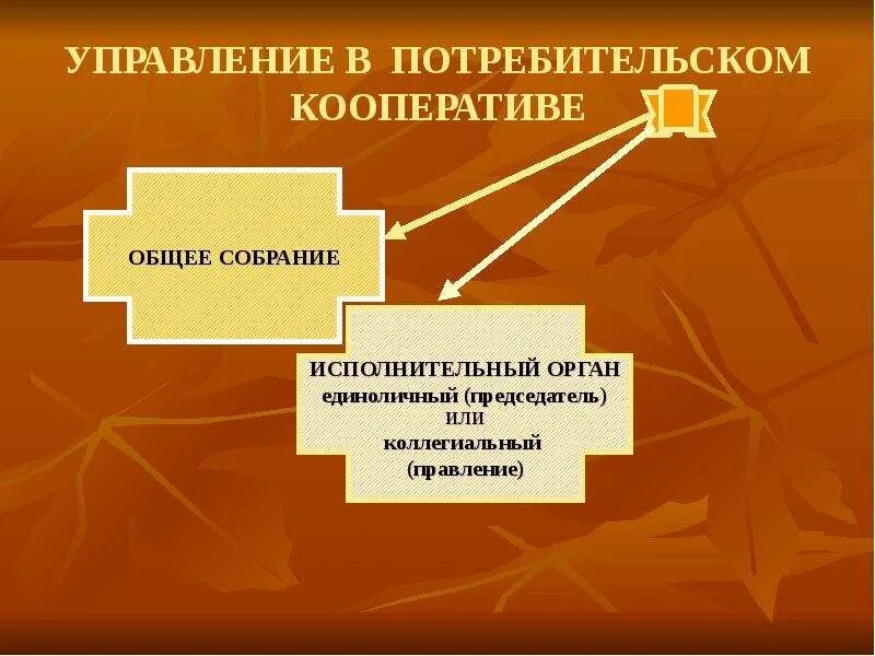 Потребительский кооператив управление. Органы управления потребительского кооператива. Структура органов управления потребительского кооператива. Управление в кооперативе. Преобразование кооператива